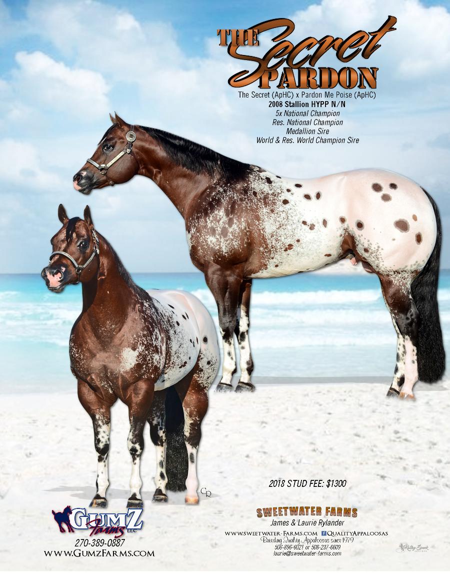 Sweetwater Farms Breeders of Quality Appaloosas since 1979